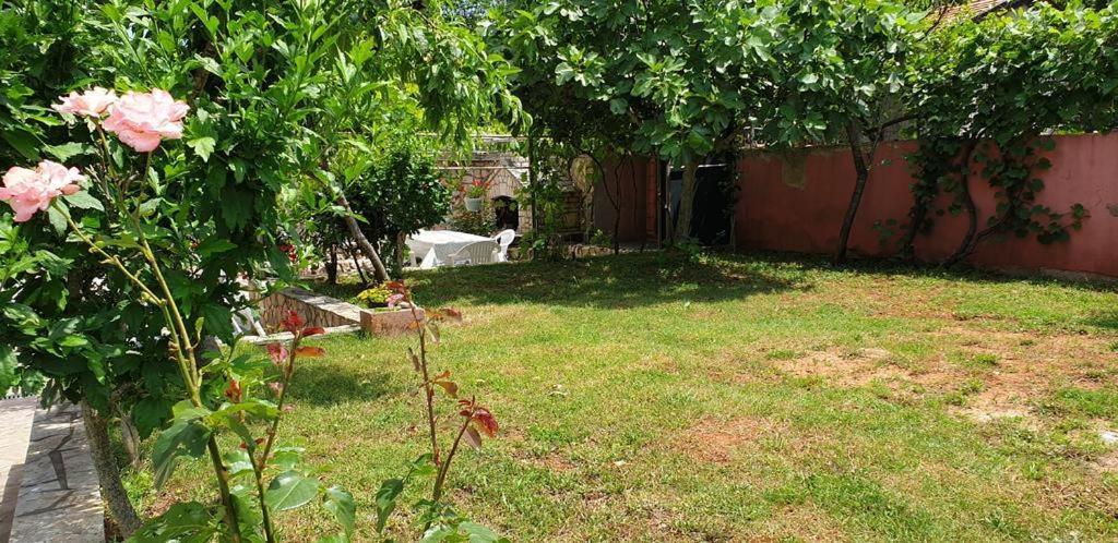 Apartments Roses Dobrinj Zewnętrze zdjęcie
